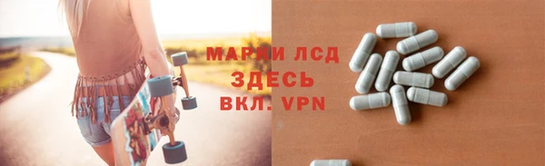 гашик Сосновый Бор
