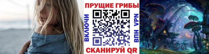 купить  цена  Мариинск  кракен онион  Псилоцибиновые грибы ЛСД 